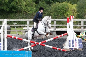 Class 3 -  Fences not above 2'3